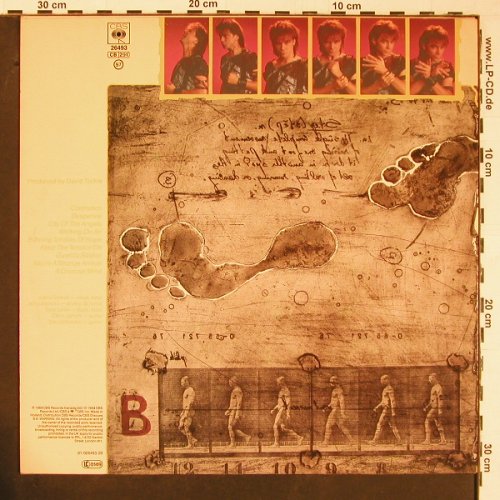 Gowan: Strange Animal, CBS(CBS 26 493), NL, 1984 - LP - Y407 - 6,00 Euro
