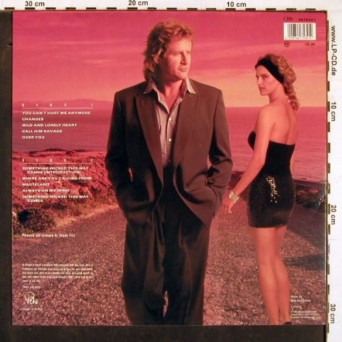 Hofmann,Peter: Wild And Lonely Heart, CBS(467534 1), NL, 1990 - LP - Y4130 - 6,00 Euro