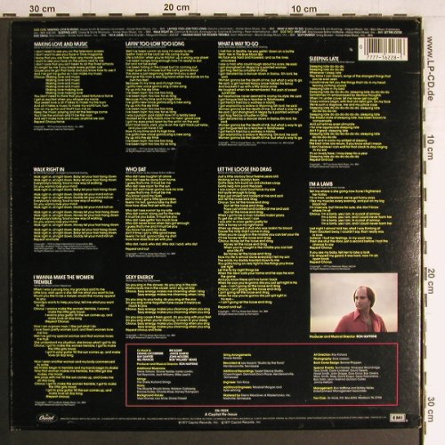 Dr.Hook: Makin'Love And Music, Capitol(SN-16228), D, 1977 - LP - Y4252 - 6,00 Euro