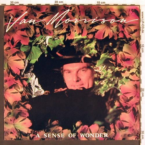 Morrison,Van: A Sense Of Wonder, Mercury (822 895-1), D, 1984 Typ: LP Best.-Nr.: Y4941 Preis: 6,00 Euro