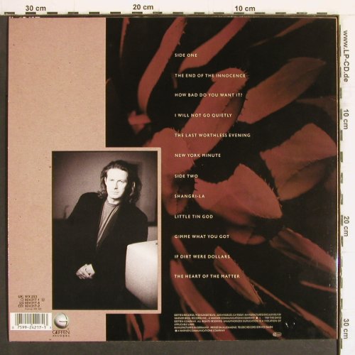 Henley,Don: The End Of The Innocence, WEA(924 217-1), D, 1989 - LP - Y4945 - 6,00 Euro