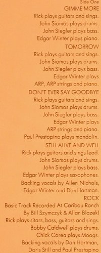 Derringer,Rick: Spring Fever, Blue Sky(PZ 33423), US, 1975 - LP - Y7421 - 9,00 Euro
