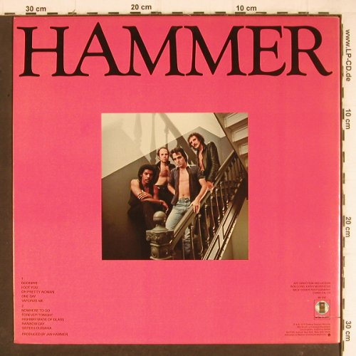 Hammer,Jan: Hammer, Asylum(6E-232), US, co, 1979 - LP - Y8300 - 5,00 Euro