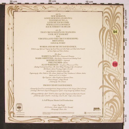 Essex,David: Gold & Ivory, CBS(86038), NL, 1977 - LP - Y874 - 6,00 Euro
