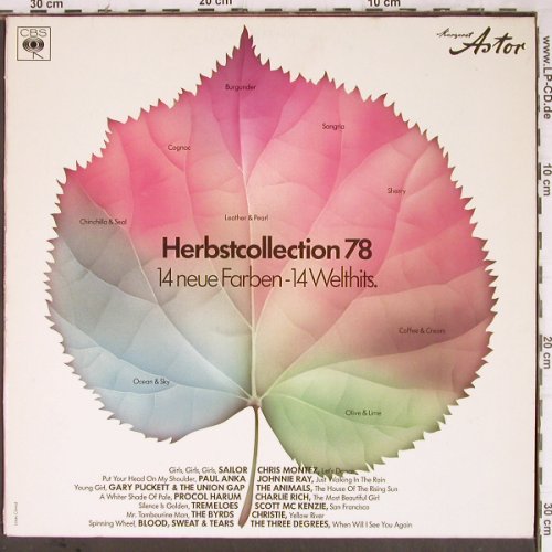 V.A.Herbstcollection 78: Sailor...Three Degrees, CBS/Margaret Astor (LSP 13 624), D, 1978 Typ: LP Best.-Nr.: Y8823 Preis: 5,00 Euro