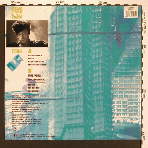 Remo Park & The Chasm: Lying In Ambush, What'sSoF.(SF 97), D, 1990 - LP - A1940 - 2,50 Euro