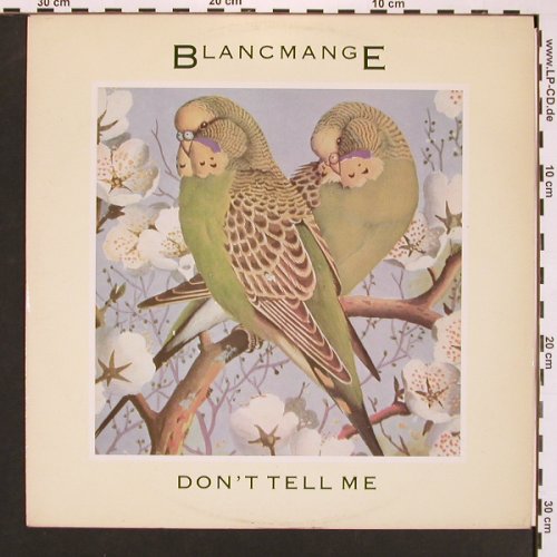 Blancmange: Don't Tell Me+1, London(BLANX 7), UK, 1984 - 12inch - A3246 - 4,00 Euro
