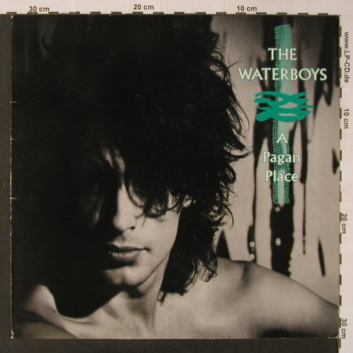 Waterboys: A Pagan Place, Ensign(206 353-320), D, 1984 - LP - F3450 - 5,00 Euro