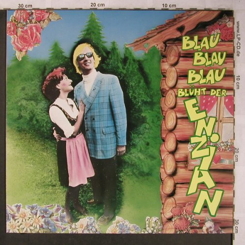 Toten Hosen: Blau,blau,blau Blüht der Enzian, Virgin TOT 188 (602 052-213), D, 1985 Typ: 12" Best.-Nr.: X5289 Preis: 7,50 Euro