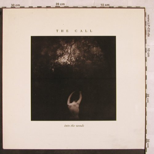 Call,The: Into The Woods, Elektra(960 739-1), D, 1987 - LP - X573 - 5,50 Euro
