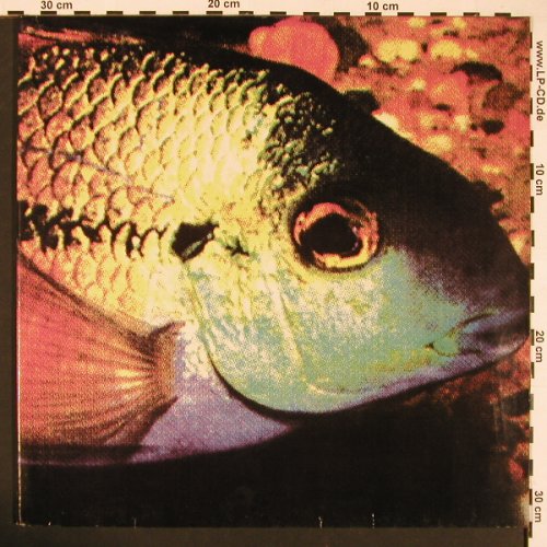Bomb Party: Fish, Foc, Normal(103), D,  - LP - X8399 - 6,00 Euro