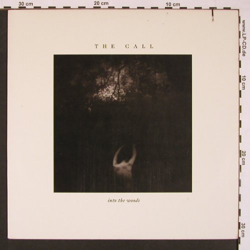 Call,The: Into The Woods, Elektra(), US, Co, 1987 - LP - X8514 - 5,00 Euro