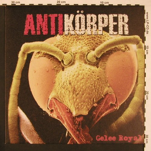 Antikörper: Gelee Royal, Lim.Ed.Nr.136 of 500, Klartext Records (Nr.5), D, 2002 Typ: LP Best.-Nr.: X8542 Preis: 9,00 Euro