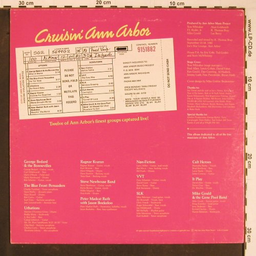 V.A.Cruisin'Ann Arbor: First Compilation Album, Ann Abbor Music Project(AAMP), CDN, 1982 - LP - Y1068 - 6,00 Euro