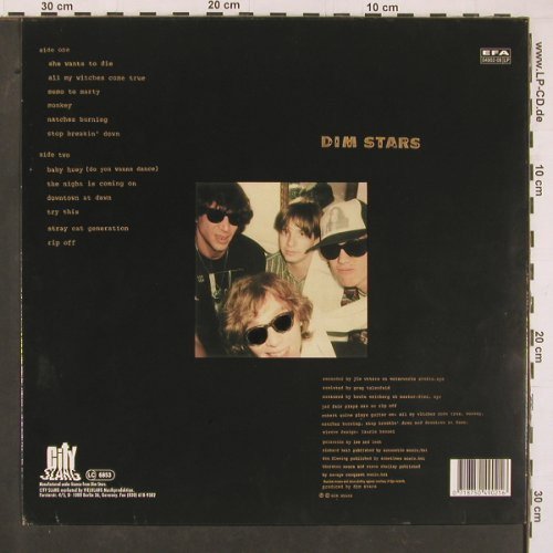 Dim Stars: Same, City Slang(EFA 04902-08), D, 1992 - LP - Y1363 - 17,50 Euro