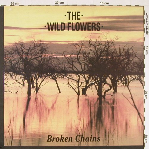 Wild Flowers: Broken Chains +3, Chapter 22(12 CHAP 23), UK, 1988 - 12inch - Y1485 - 5,00 Euro
