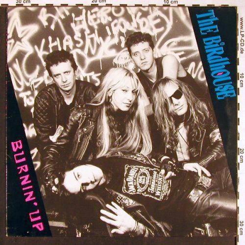 Birdhouse: Burnin'Up, Glitterhouse (GR0023 04459-08), D, 1987 Typ: LP Best.-Nr.: Y173 Preis: 12,50 Euro