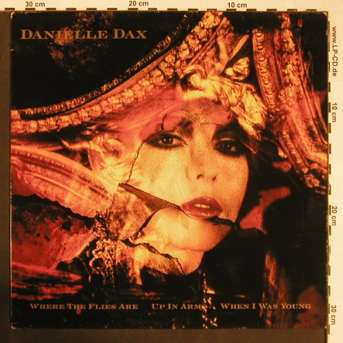 Dax,Danielle: Where The Flies Are+2, Awesome Records (AOR 6T), UK, 1986 Typ: 12" Best.-Nr.: Y345 Preis: 4,00 Euro