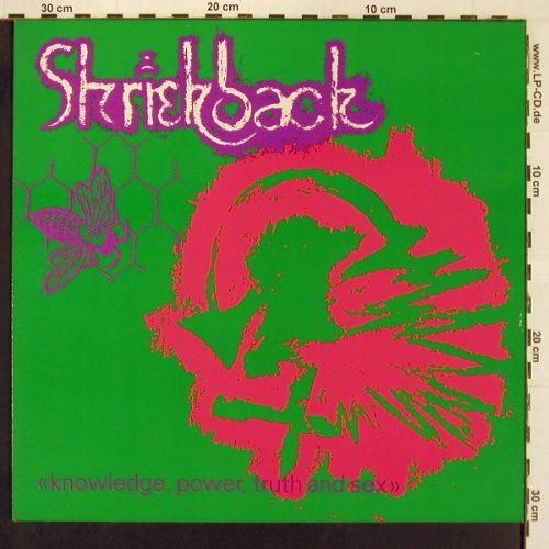 Shriekback: Knowledge Power Truth & Sex, Arista(206 608), D, 1984 - LP - Y40 - 7,50 Euro