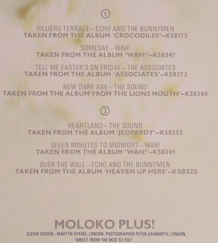 V.A.Moloko Plus!: Echo+Bun,The Sound,Associates.., WEA(K 28282), D, m-/vg+, 1981 - LP - Y4256 - 6,00 Euro