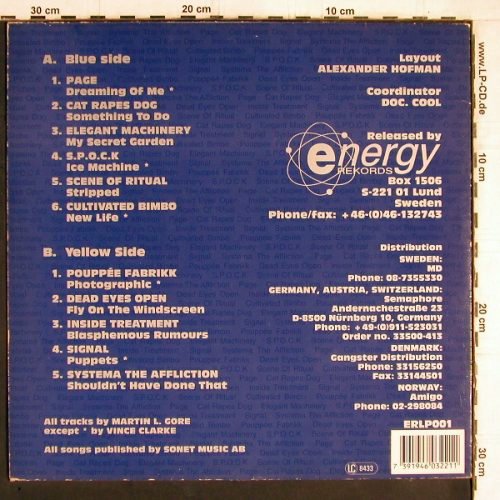 V.A.I Sometimes wish I was Famous: A Swedish Trib.to Depeche Mode, Energy Records(ERLP001), S, 1991 - LP - Y5321 - 12,50 Euro
