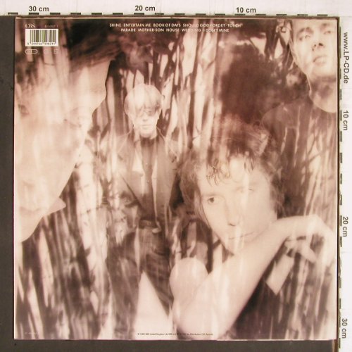 Psychedelic Furs: Book Of Days, CBS(465982 1), NL, 1989 - LP - Y5748 - 6,00 Euro