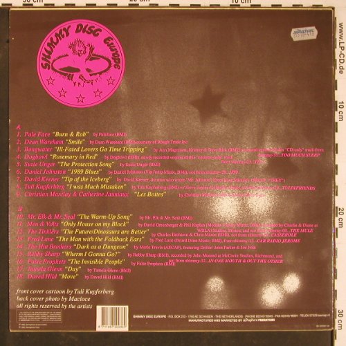 V.A.What Else Do You Do?: Pale Face.. Daved Hild, 18 Tr., Shimmy Disc Europe(SDE 9021 LP), NL, 1990 - LP - Y814 - 9,00 Euro