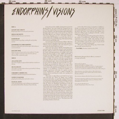 Endorphins: Visions, Endorphin(9000), CDN, 1988 - LP - Y840 - 7,50 Euro