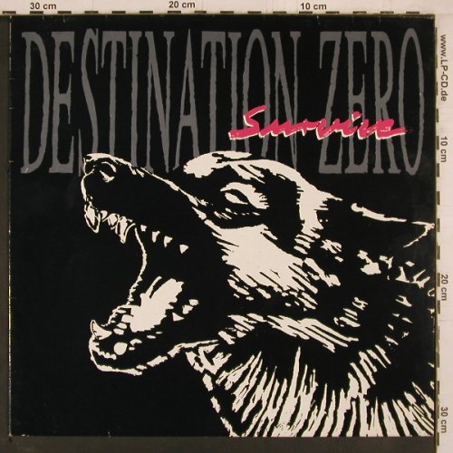 Destination Zero: Survive, Ruff'n'Roll Recordings (008-11501), D, 1990 Typ: LP Best.-Nr.: Y2325 Preis: 6,00 Euro