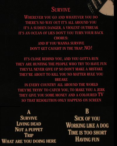 Destination Zero: Survive, Ruff'n'Roll Recordings (008-11501), D, 1990 Typ: LP Best.-Nr.: Y2325 Preis: 6,00 Euro