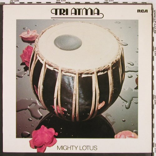 Tri Atma: Mighty Lotus, RCA Victor (PL 28402), D,like new, 1980 Typ: LP Best.-Nr.: V3496 Preis: 20,00 Euro
