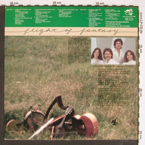Golden Bough: Flight of Fantasy, Eulenspiegel(EULP 1045), D, 1984 - LP - Y7317 - 6,00 Euro