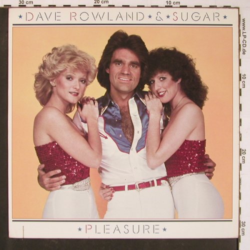 Rowland,Dave & Sugar: Pleasure, Elektra(5E-525), US, co, 1981 - LP - Y893 - 7,50 Euro