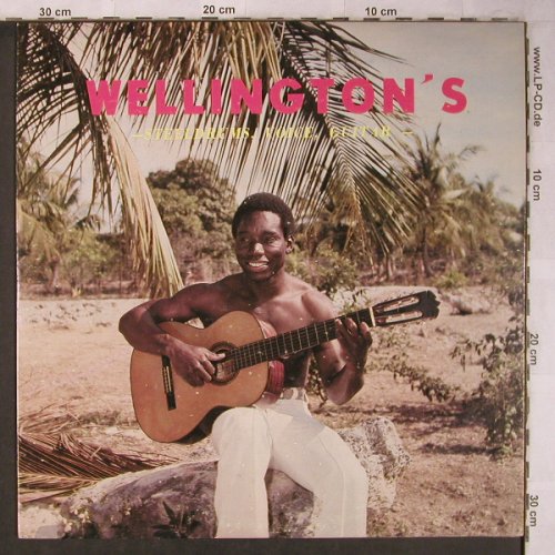Wellington's: Steeldrum, Voice, Guitar, vg+/m-, (LP-003), ,  - LP - X5151 - 7,50 Euro