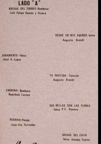 V.A.Grande Coros de Venezuela: Luis Felipe Ramon... V.E.Sojo, Souvenier(13-38), Venezuela,  - LP - Y2412 - 7,50 Euro