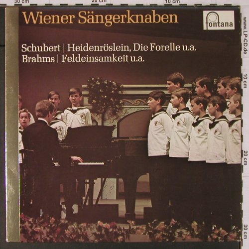 Wiener Sängerknaben: Schubert:Heideröslein,die Forelle, Fontana(6530 008), D,  - LP - K743 - 5,00 Euro