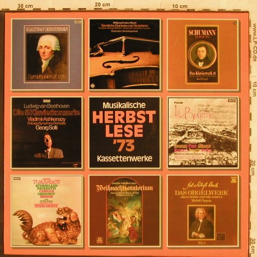 V.A.Musikalische Herbstlese 73: Haydn-Dorati..Gesualdo-Ephrikian, Decca,Musterplatte(TST 77 933), D, 1973 - LP - L4542 - 4,00 Euro