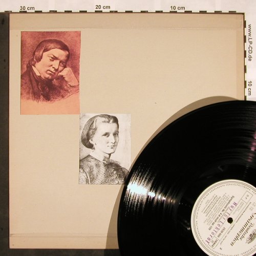 Schumann,Robert: Frühlings-Symphonie Spring Nr.1&4, D.Gr.Musterplatte (2530 660), D Typ: LP Best.-Nr.: L5271 Preis: 5,00 Euro
