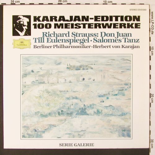 Strauss,Richard: Don Juan, Till Eulenspiegel, Salome, D.Gr. Gallerie(2543 060), D, 1982 - LP - L9977 - 6,00 Euro