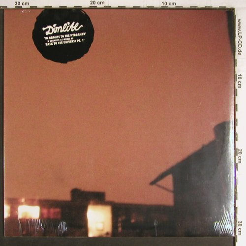 Dimlite: In Groups to the Hydrandd+1, FS-New, Sonar Kollektiv (SK059), D, 33rpm, 2005 Typ: 12" Best.-Nr.: Y3776 Preis: 5,00 Euro