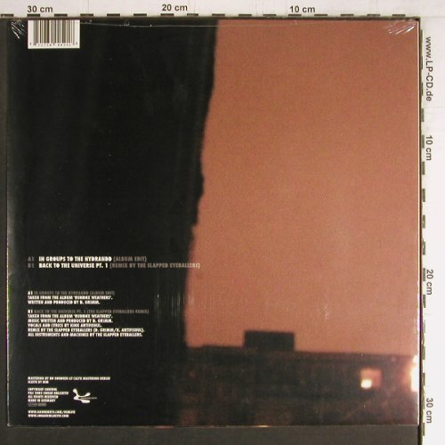 Dimlite: In Groups to the Hydrandd+1, FS-New, Sonar Kollektiv (SK059), D, 33rpm, 2005 Typ: 12" Best.-Nr.: Y3776 Preis: 5,00 Euro
