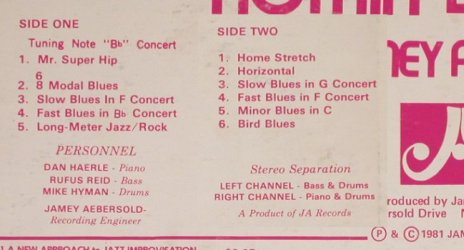 Abersold,Jamey: Nothing but Blues, Vol.2, m-/VG-, JA(JA 1211), US, 1981 - LP - H8084 - 4,00 Euro