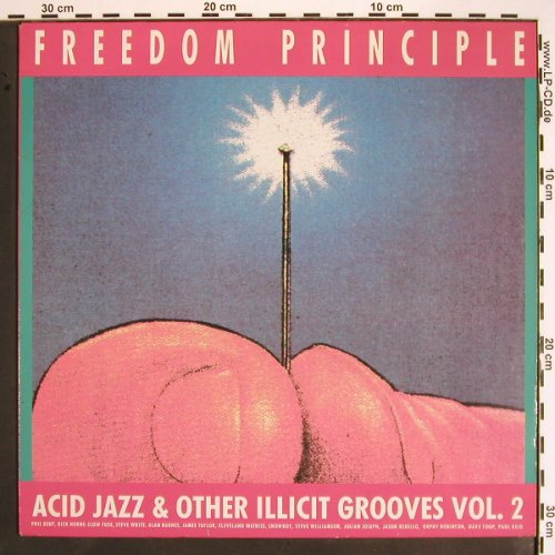 V.A.Freedom Principle Vol.2: Acid Jazz & other illicit Grooves, Polydor(837 925-1), UK, 1989 - LP - V1528 - 6,00 Euro