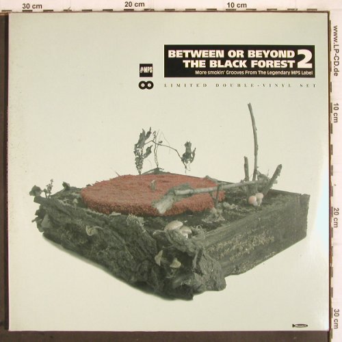 V.A.Between Or Beyond: The Black Forest 2, Foc, m /vg+, Crippled Dick Hot Wax(cdhw 064), D, 2000 - 2LP - V673 - 9,00 Euro