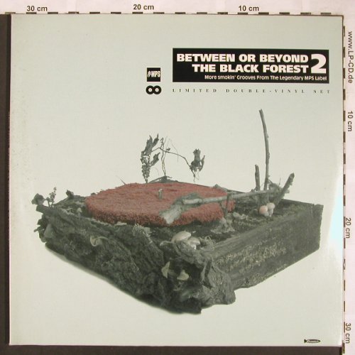 V.A.Between Or Beyond: The Black Forest 2, Foc,m-/vg+, Crippled Dick Hot Wax(cdhw 064), D, 2000 - 2LP - X1704 - 17,50 Euro