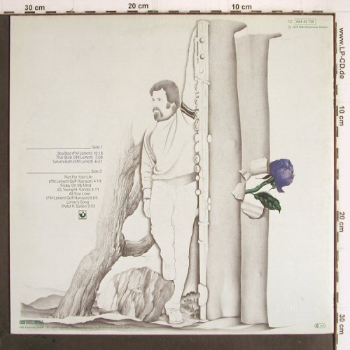 Mac Dowell,Lenny: Flexible, Harvest(064-45 736), D, 1979 - LP - Y9911 - 9,00 Euro