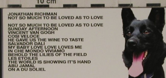 Richman,Jonathan: Not so much to be loved..Promo,15Tr, Sanctuary(SANPR290), EU,Digi, 2004 - CD - 80532 - 5,00 Euro