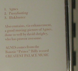 Billy,Bonnie'Prince': Agnes, Queen Of Sorrow, Domino (RUG185CD), EU, 2004 Typ: CD Best.-Nr.: 98823 Preis: 14,00 Euro