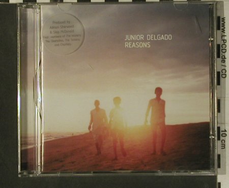 Junior Delgado: Reasons, Big Cat(), UK, 99 - CD - 99213 - 7,50 Euro