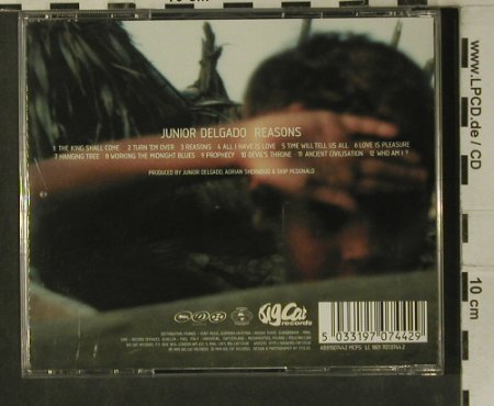 Junior Delgado: Reasons, Big Cat(), UK, 99 - CD - 99213 - 7,50 Euro